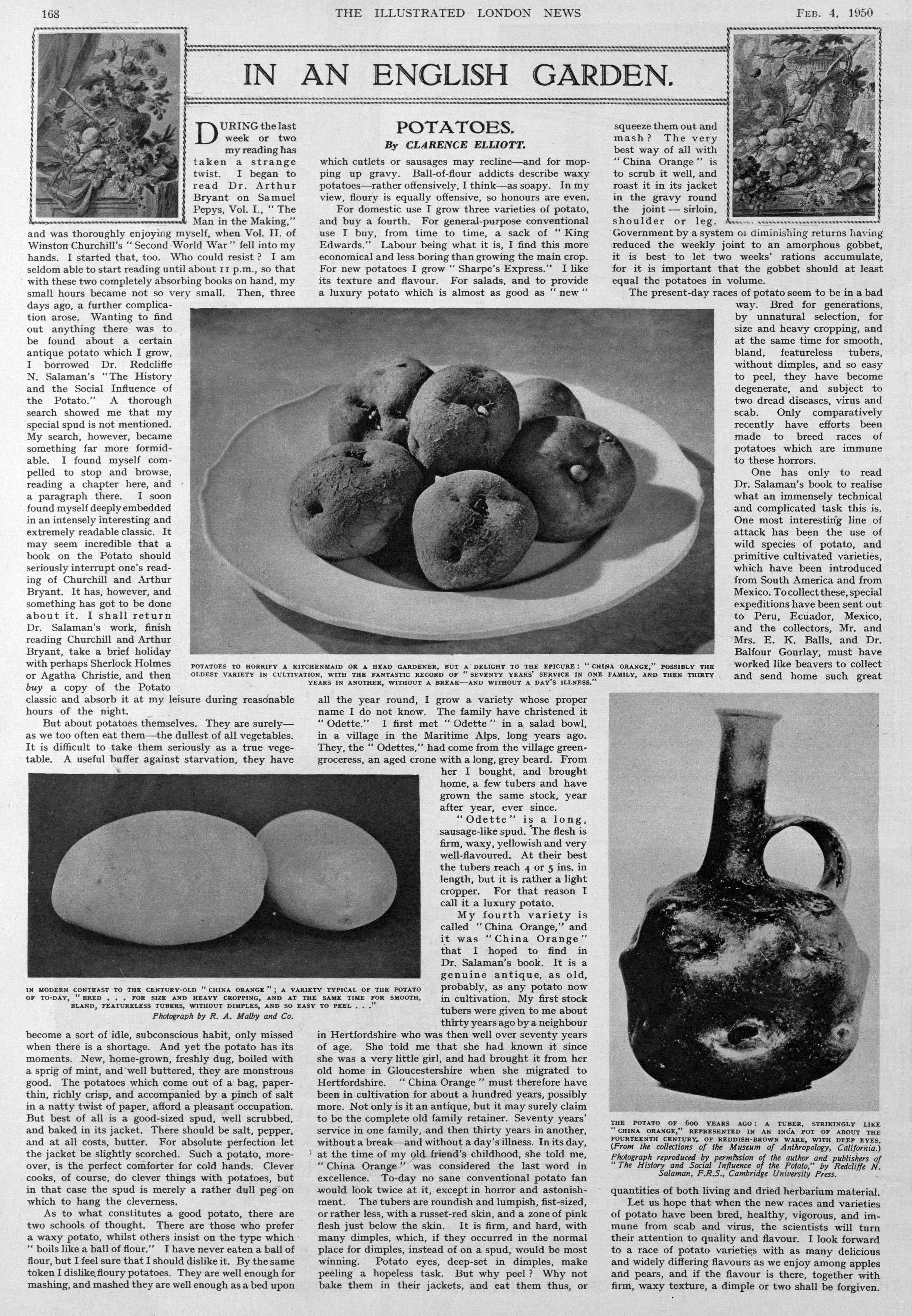 Potatoes